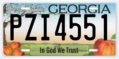 GA license plate PZI4551