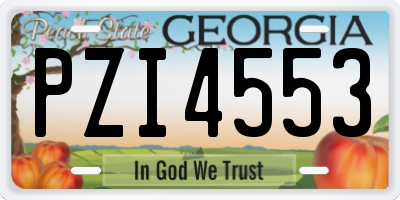 GA license plate PZI4553