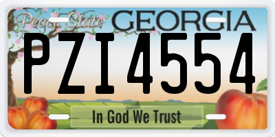 GA license plate PZI4554