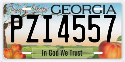 GA license plate PZI4557