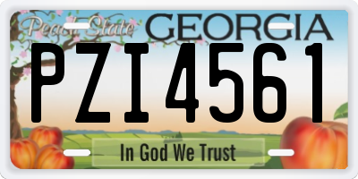 GA license plate PZI4561