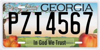 GA license plate PZI4567