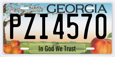 GA license plate PZI4570