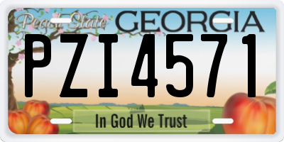 GA license plate PZI4571
