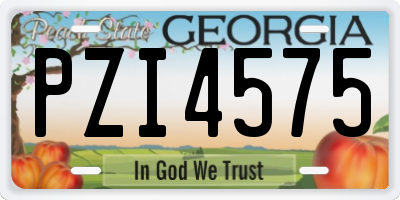 GA license plate PZI4575