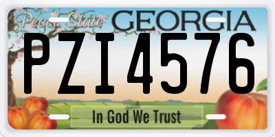 GA license plate PZI4576