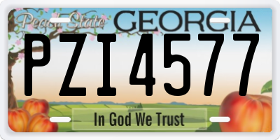 GA license plate PZI4577