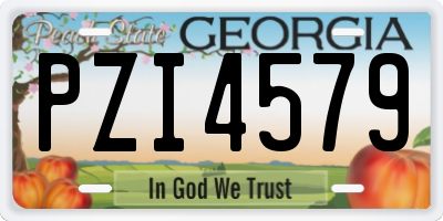 GA license plate PZI4579