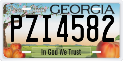 GA license plate PZI4582