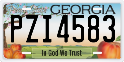 GA license plate PZI4583