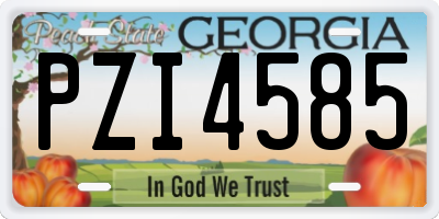GA license plate PZI4585