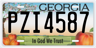 GA license plate PZI4587