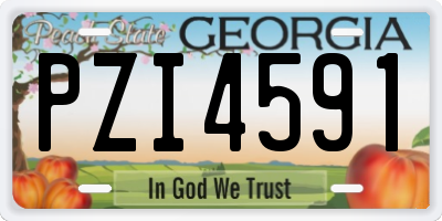 GA license plate PZI4591
