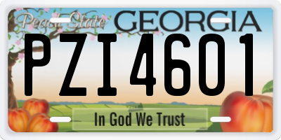 GA license plate PZI4601
