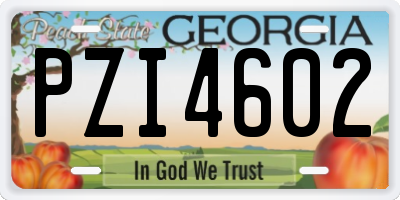 GA license plate PZI4602