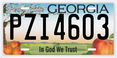 GA license plate PZI4603
