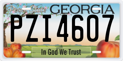 GA license plate PZI4607