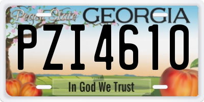 GA license plate PZI4610