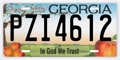 GA license plate PZI4612