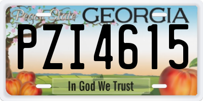 GA license plate PZI4615