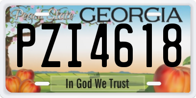 GA license plate PZI4618