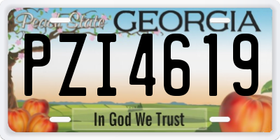 GA license plate PZI4619
