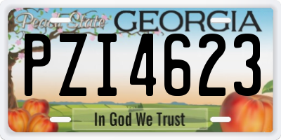 GA license plate PZI4623