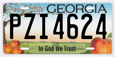 GA license plate PZI4624