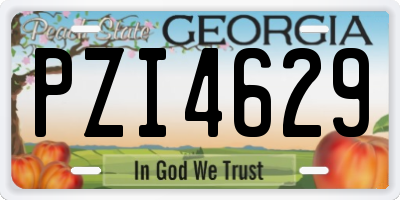 GA license plate PZI4629