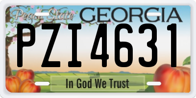 GA license plate PZI4631
