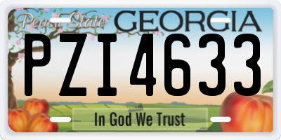 GA license plate PZI4633
