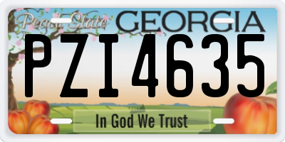 GA license plate PZI4635