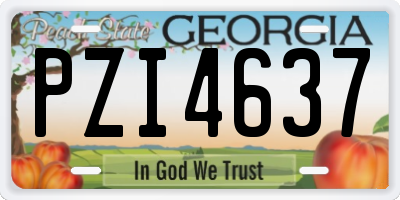GA license plate PZI4637
