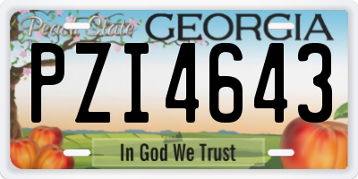 GA license plate PZI4643