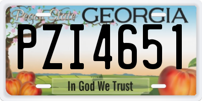 GA license plate PZI4651