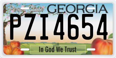 GA license plate PZI4654