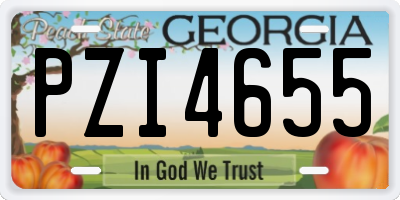 GA license plate PZI4655