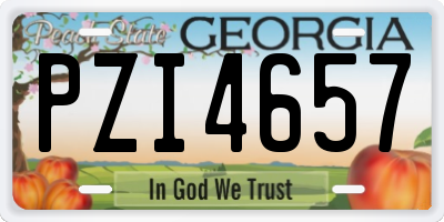 GA license plate PZI4657