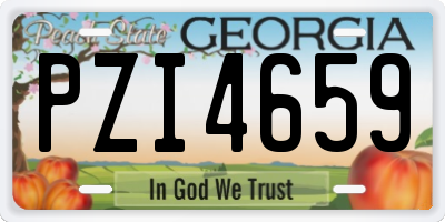 GA license plate PZI4659