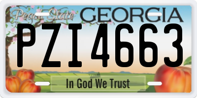 GA license plate PZI4663