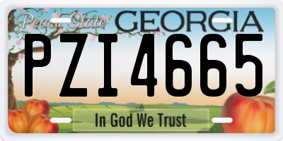 GA license plate PZI4665