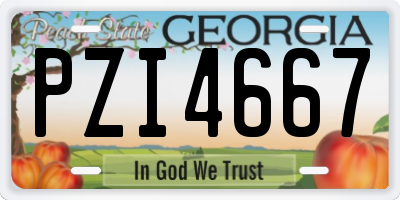 GA license plate PZI4667