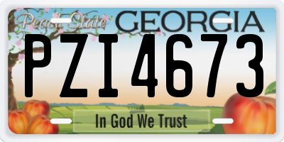 GA license plate PZI4673