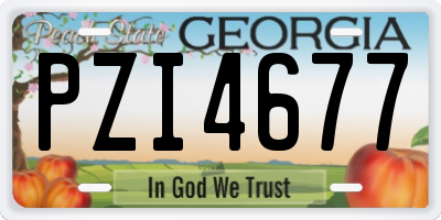 GA license plate PZI4677