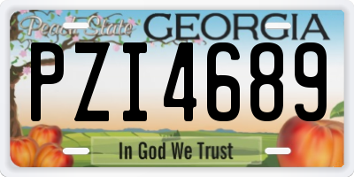 GA license plate PZI4689