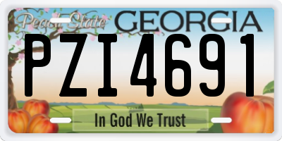 GA license plate PZI4691