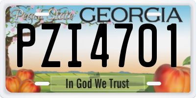 GA license plate PZI4701