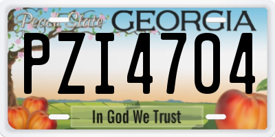 GA license plate PZI4704
