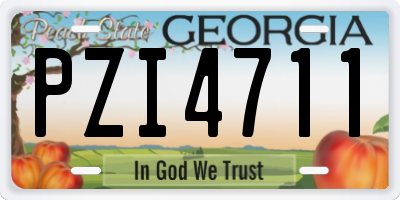 GA license plate PZI4711