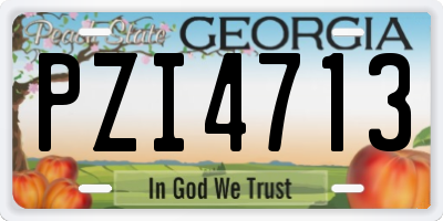 GA license plate PZI4713